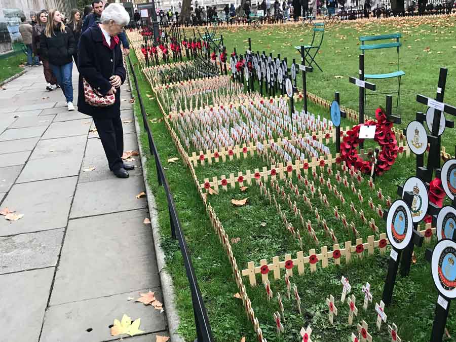 Julia Haviland LiMMA member in the Field of Remembrance on Remembrance Sunday 2025